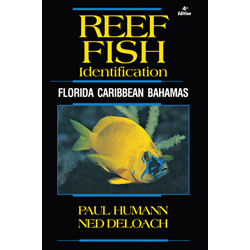 Reef Fish ID - Florida Caribbean Bahamas  